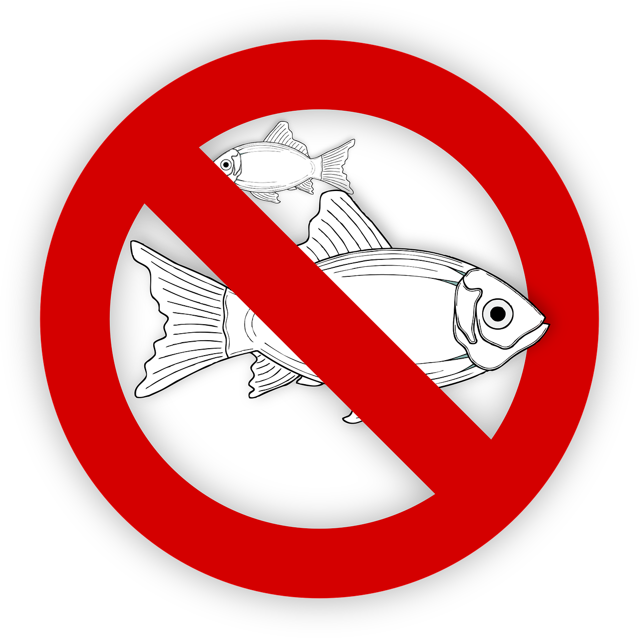 pixabay-995050-18.png